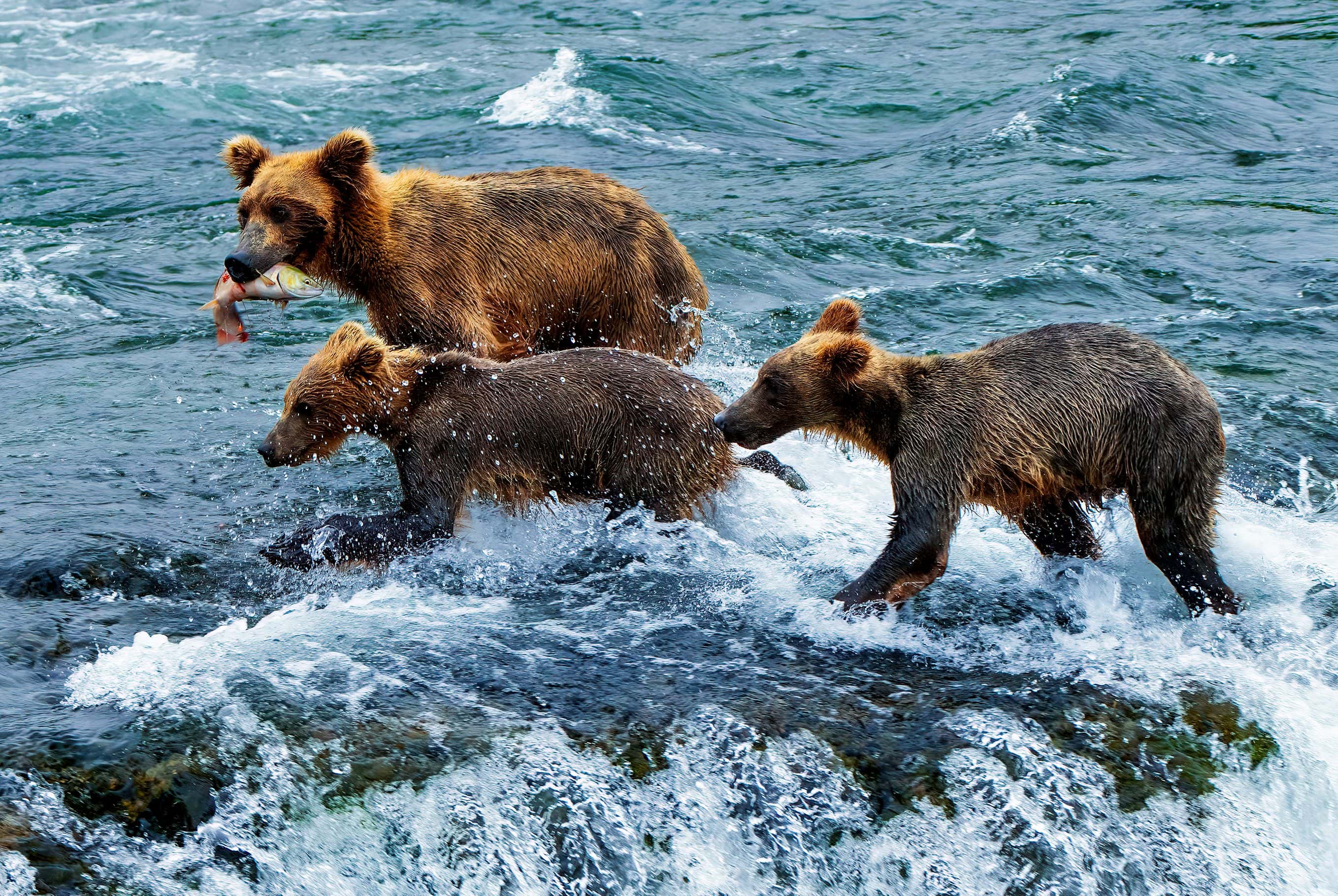 Documentación gráfica